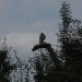 mini-IMG_1297
